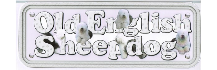 Old English Sheepdog